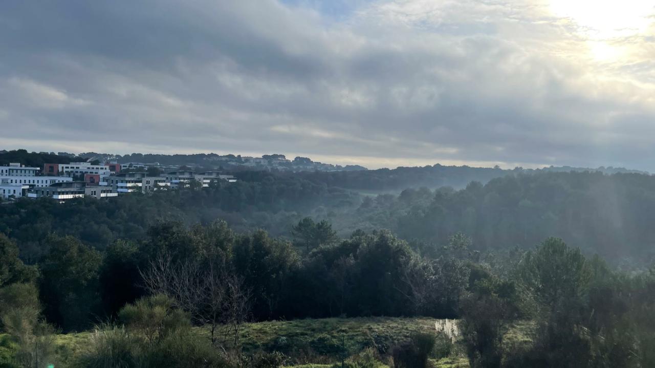 Bureau Biot 1656m² Vente bureau Biot Alpes-Maritimes OVBUR2421491 0